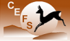 LOGO CEFS