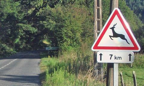 Route panneau traversée animaux