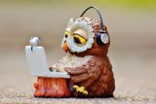 Hibou ordinateur