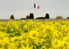 Champ drapeau français